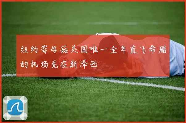 纽约寄母菇美国唯一全年直飞希腊的机场竟在新泽西