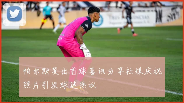 帕尔默复出首球喜讯分享社媒庆祝照片引发球迷热议