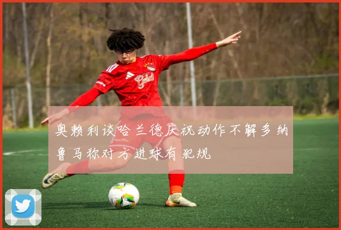 奥赖利谈哈兰德庆祝动作不解多纳鲁马称对方进球有犯规
