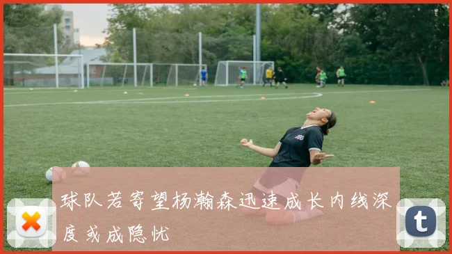 球队若寄望杨瀚森迅速成长内线深度或成隐忧