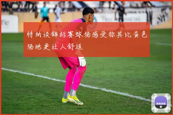 特纳谈锦标赛球场感受称其比黄色场地更让人舒适