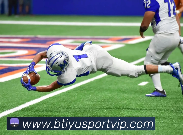 B体育平台生态图